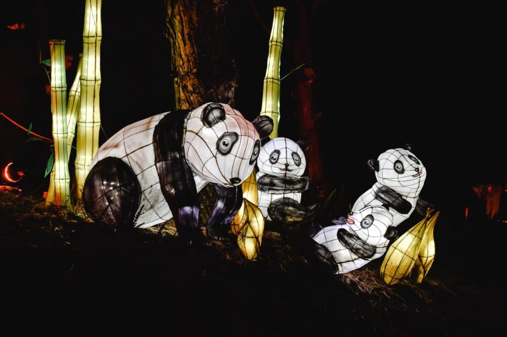 panda