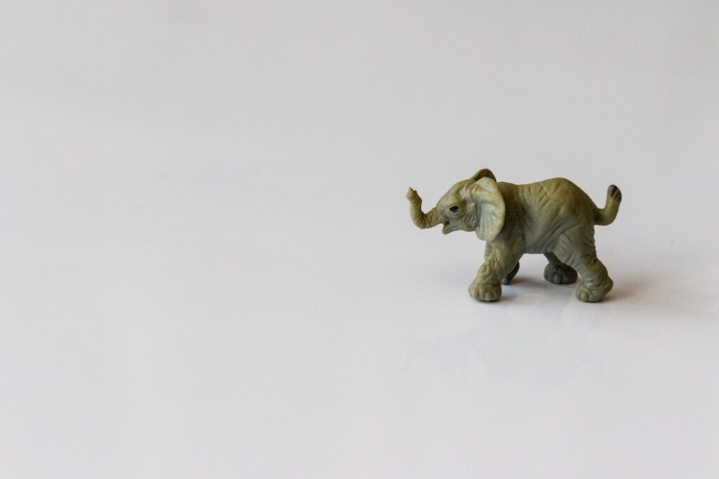 articles éléphant
